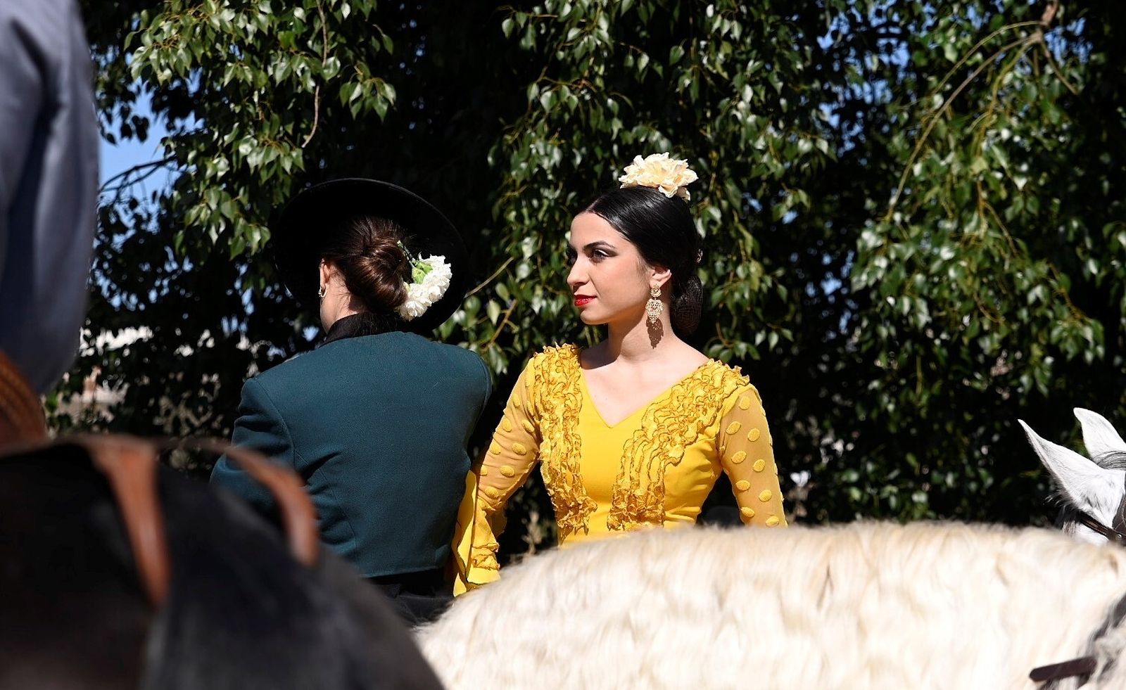 Las mejores fotografías la Marcha Hípica 'Córdoba a Caballo' por el 28F