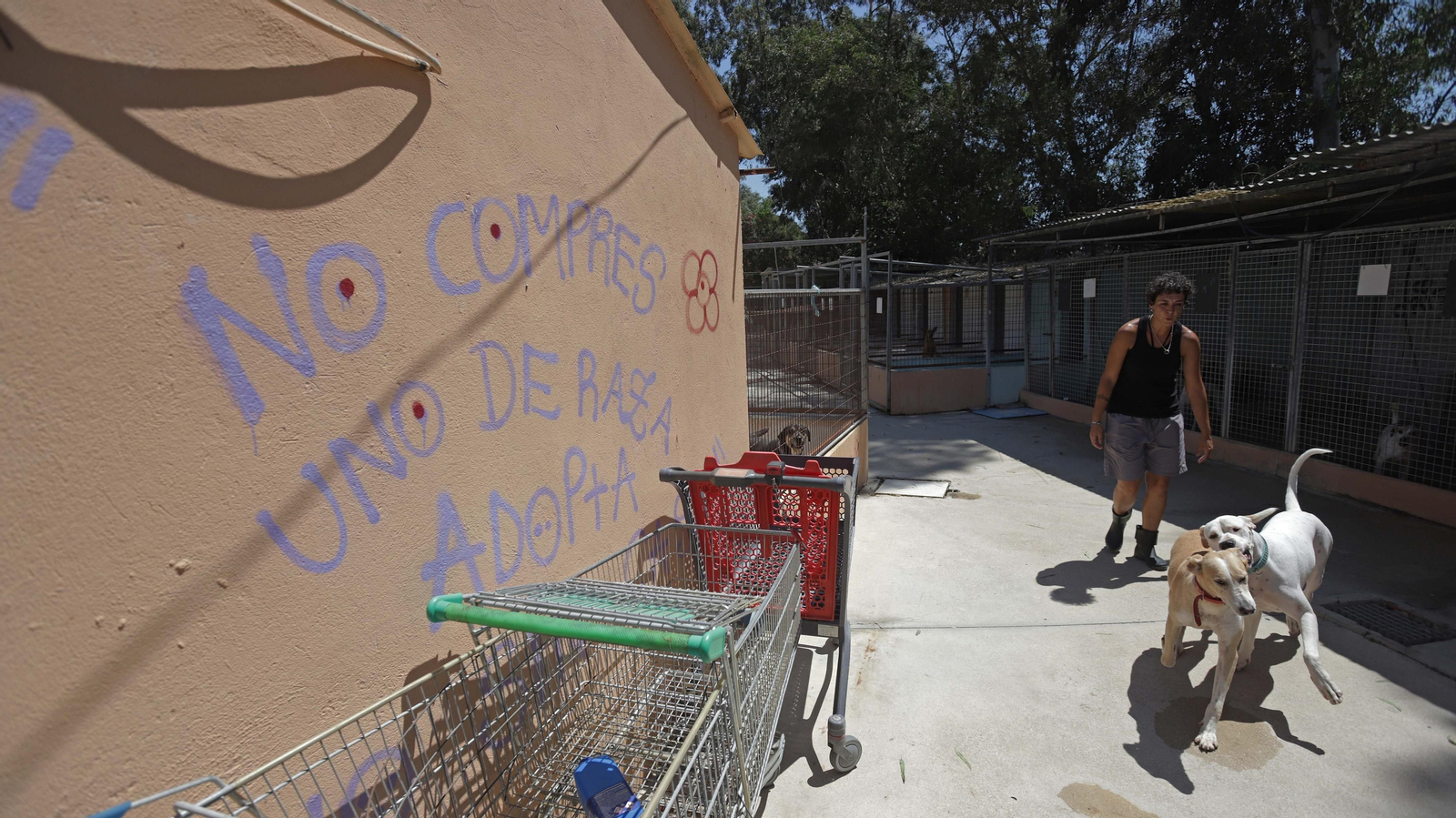 Fotos de la Protectora de Animales y Plantas de Algeciras