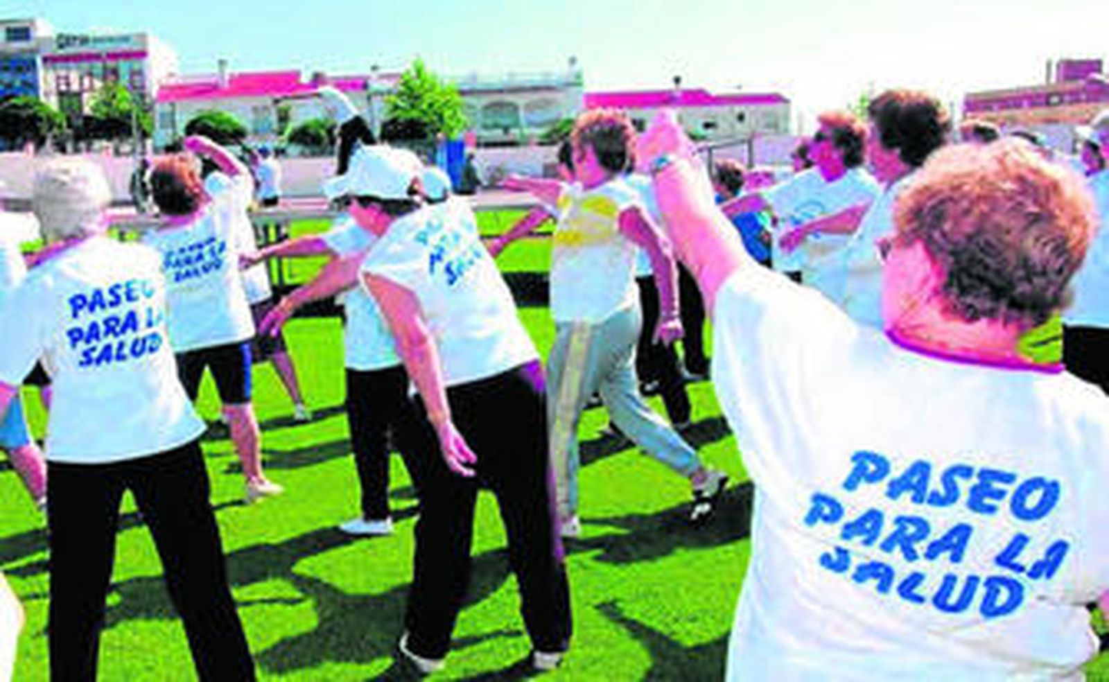 Un grupo de mayores hacen ejercicio al aire libre.