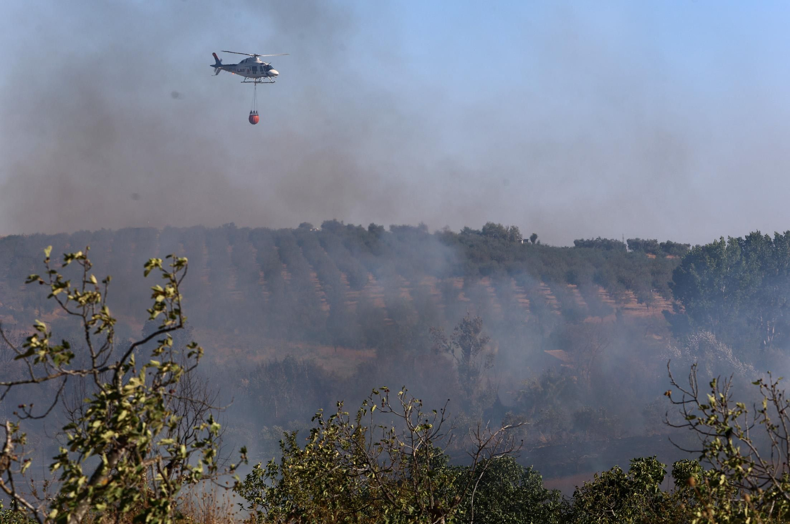 Imágenes del incendio en el Paraje del Arroyo de la Madreselva, en Bollullos par del Condado
