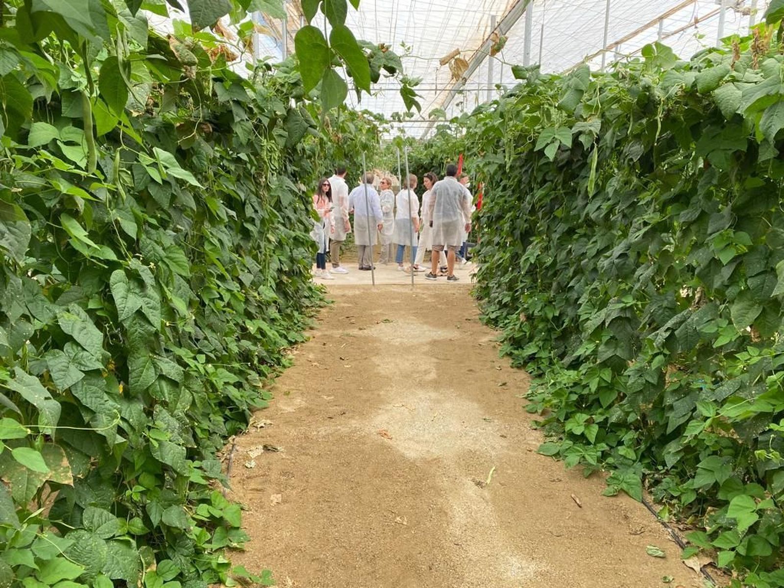 El consorcio que forma el proyecto NEGHTRA visita el CED 'El Ejido' de RZ