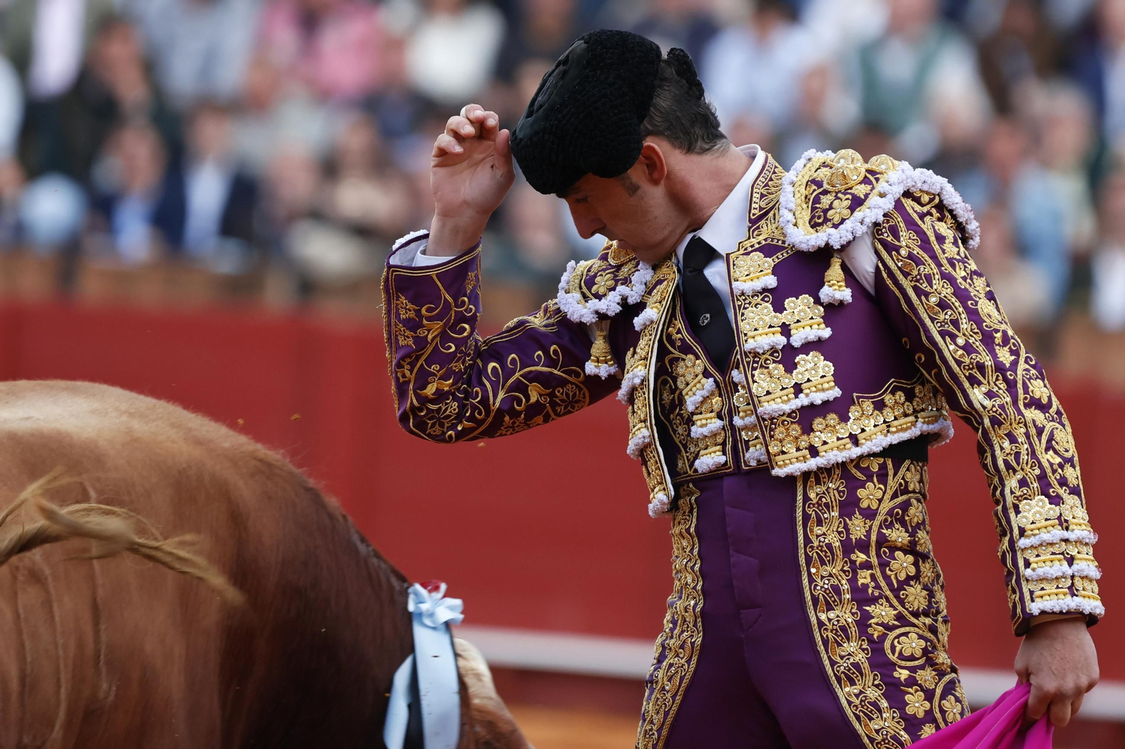 Las Imágenes del festejo