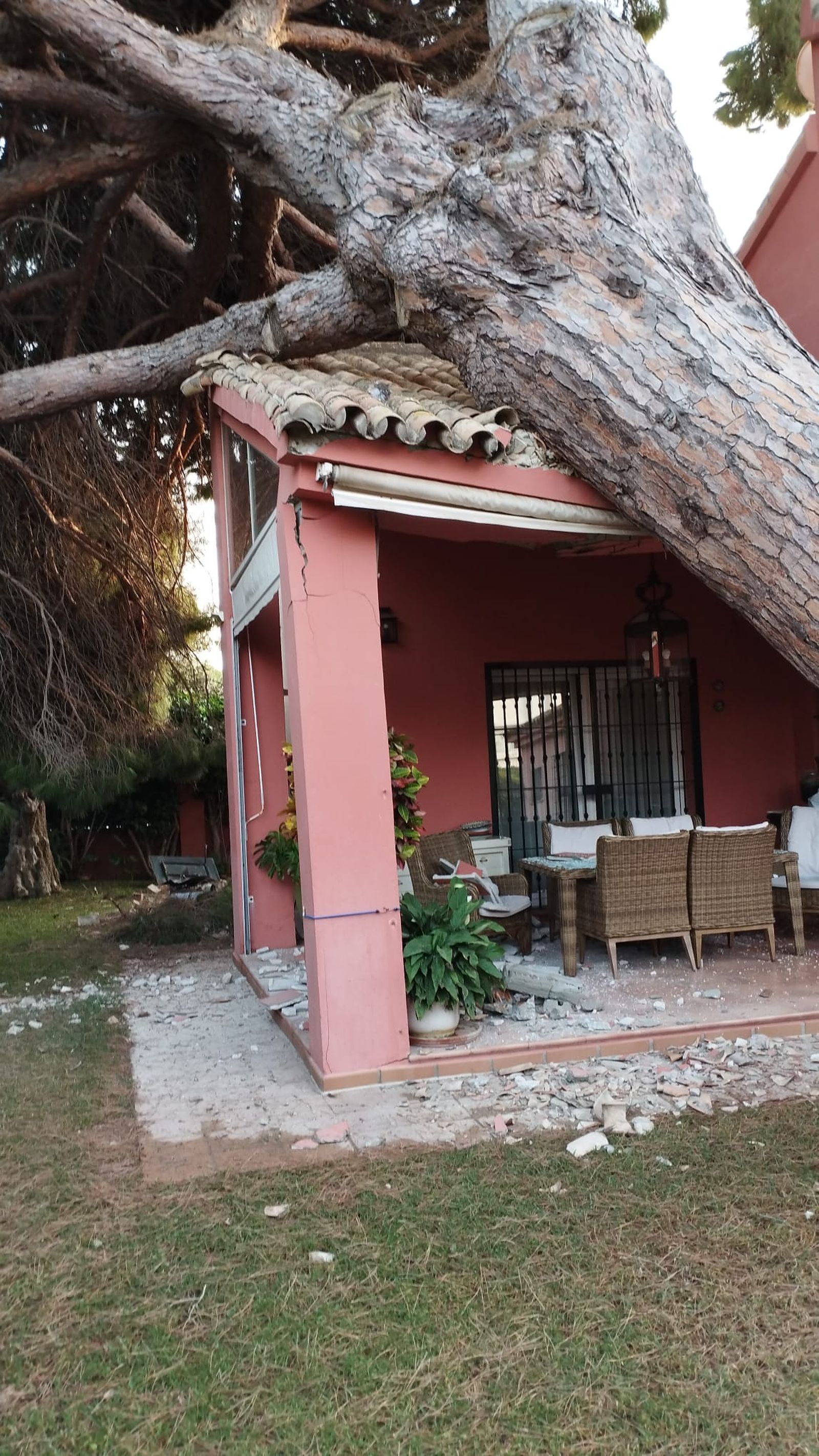 Otra imagen del impacto del pino sobre la casa.