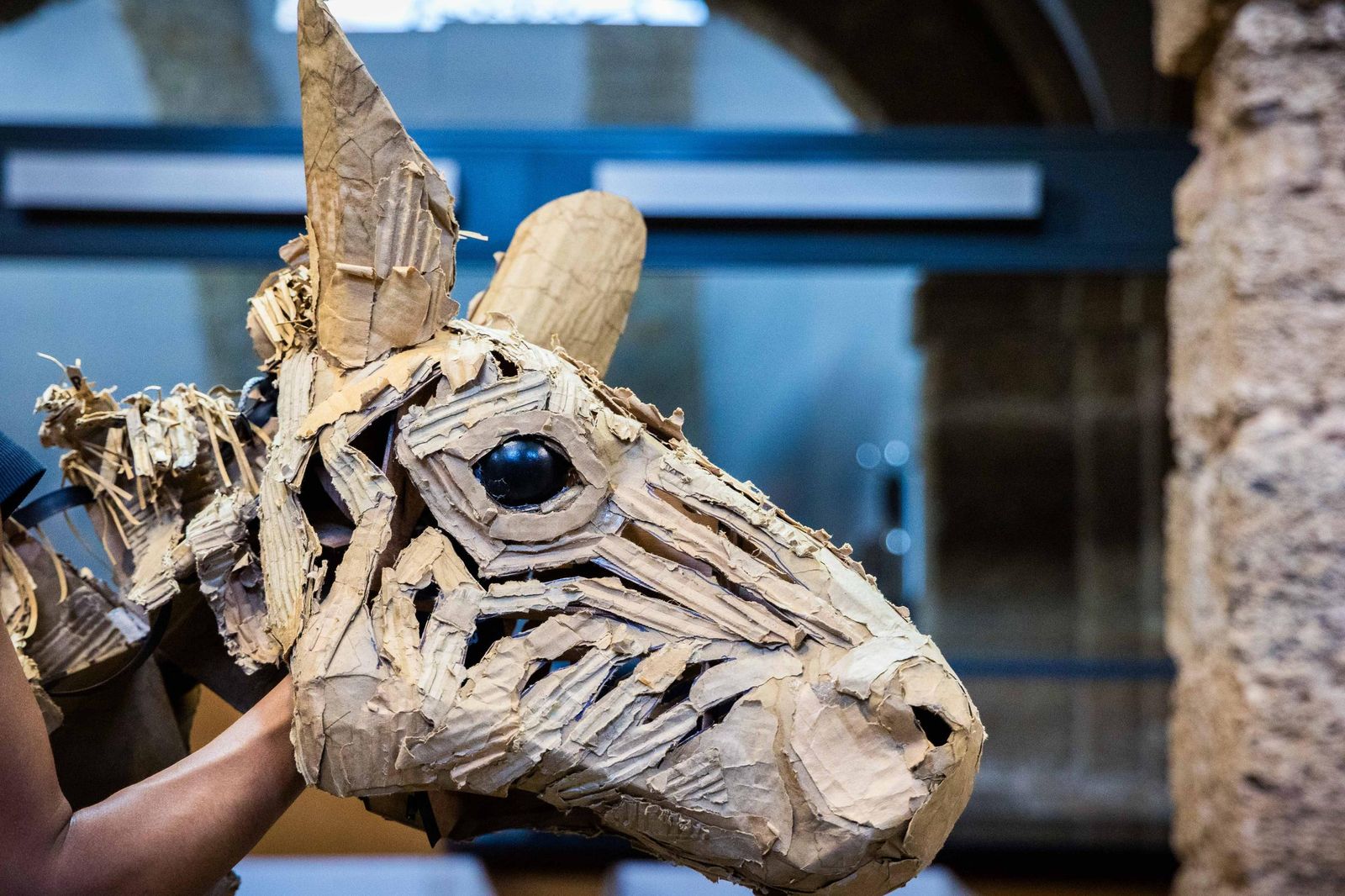 Las imágenes de 'La estampida' en San Fernando