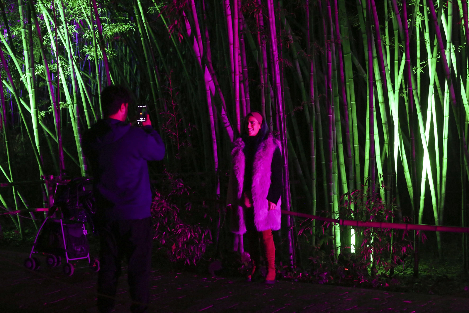 Las luces del Jardín Botánico de Málaga esta Navidad, en fotos