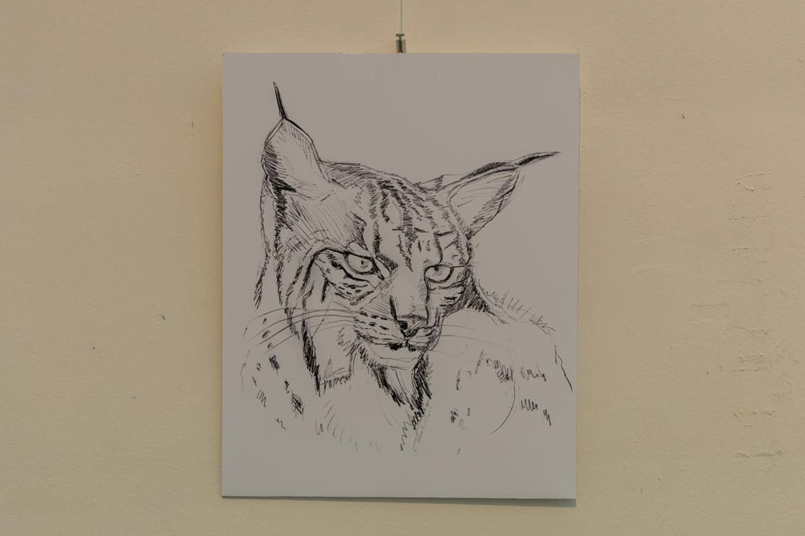 Exposición Los pinceles del lince ibérico, en imágenes