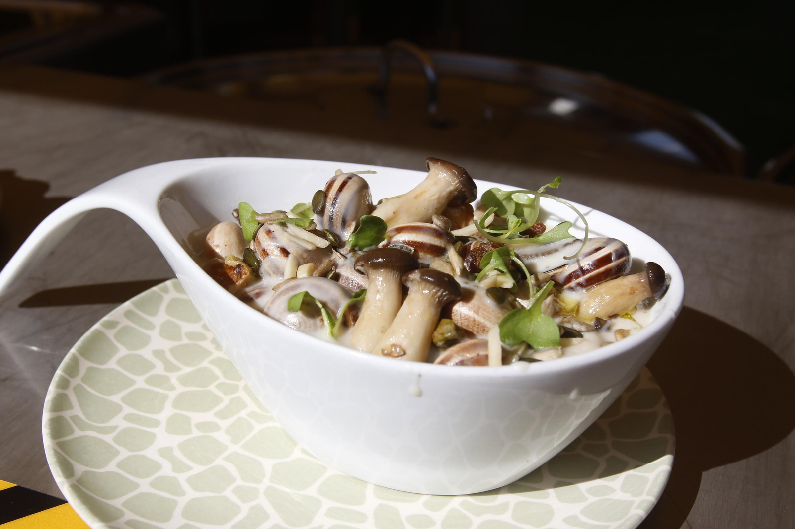 El comienzo de la temporada de caracoles 2022, en imágenes