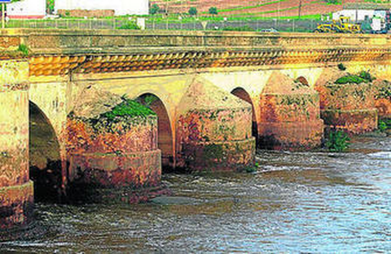 1. El río Tinto con su peculiar colorido en el que predominan los rojizos y amarillos . 2. El puente romano de Niebla.  3. En el interior del castillo de Niebla se representan obras teatrales durante el verano. 4. Santuario de la Virgen del Rocío en la aldea almonteña.  5. Espátulas en las marismas de Hinojos del Espacio Natural de Doñana.