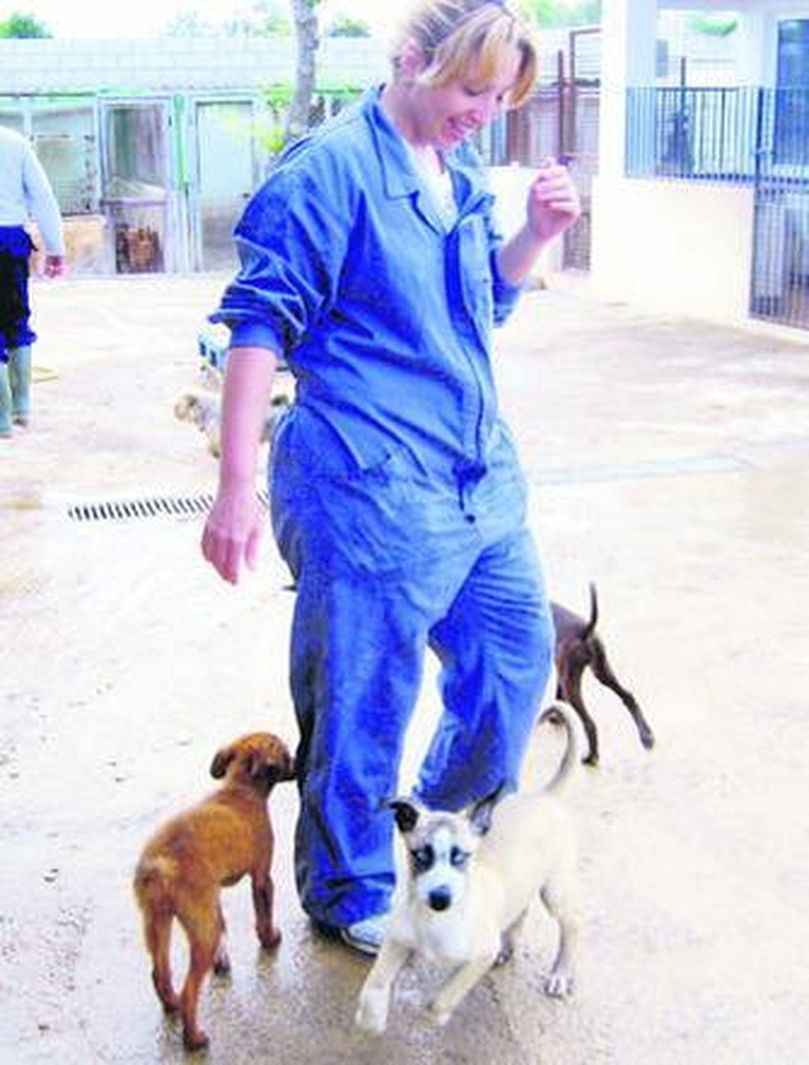 Los ojos del abandono buscan hogar