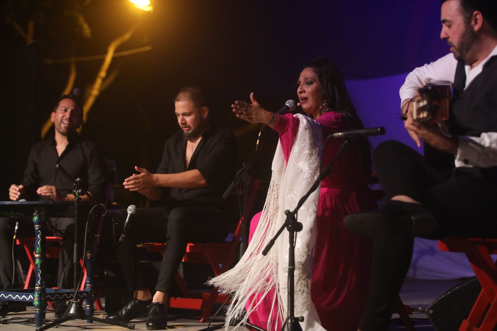 La noche flamenca en el Parque de San Fernando, en imágenes