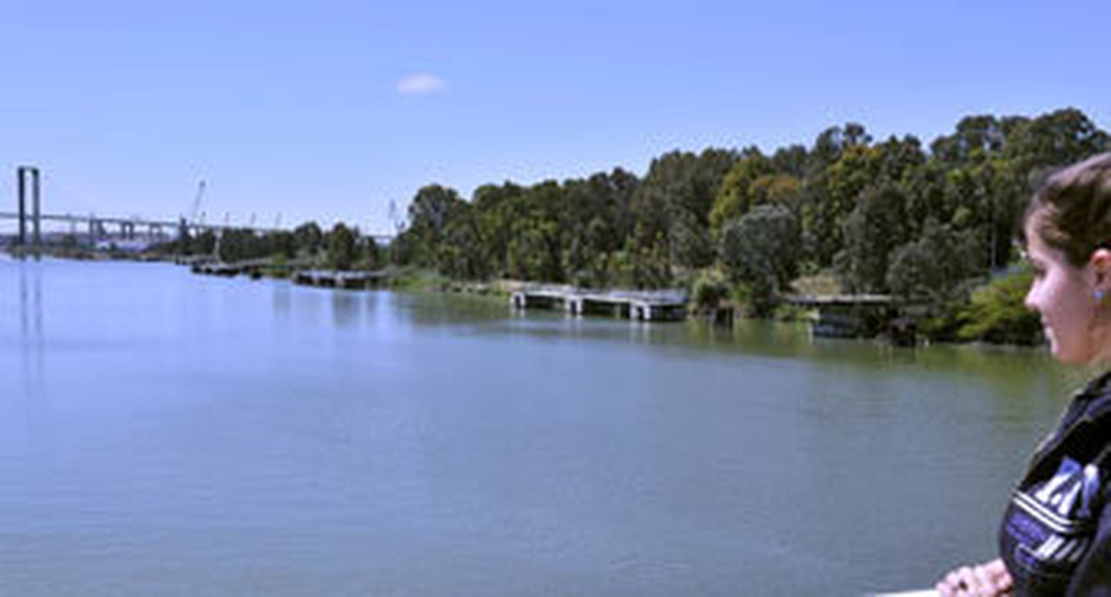 Sevilla Park pide ocupar cinco veces más suelo comercial del previsto en el Puerto