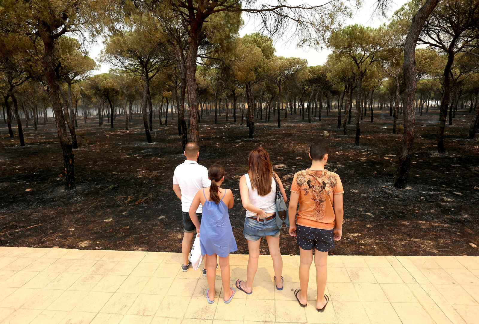Una familia observa los efectos del fuego en el pinar situado ante el hotel Mazagón, al final de la Avenida de los Conquistadores.