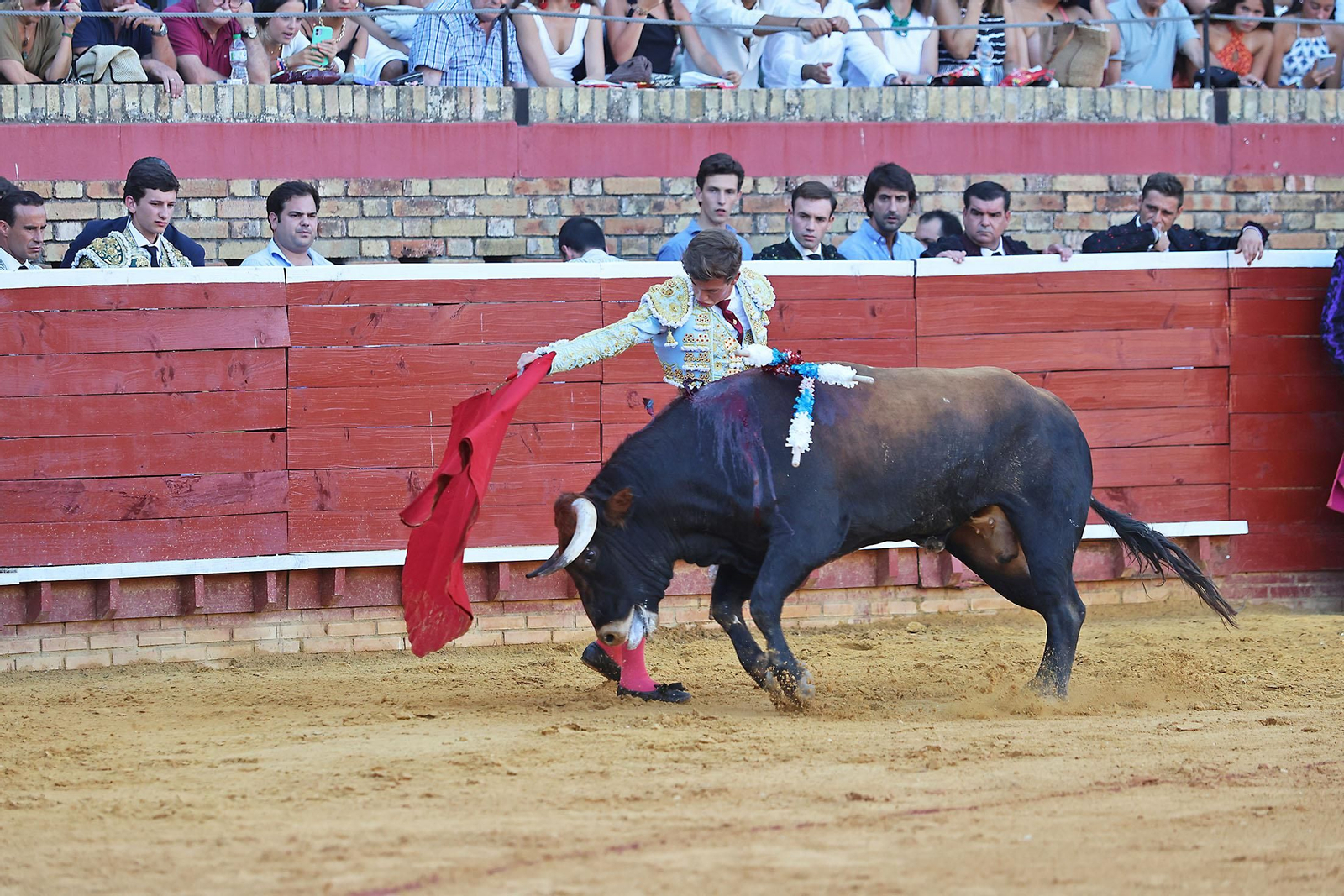 Toros La Merced 2024 Novillada con picadores(