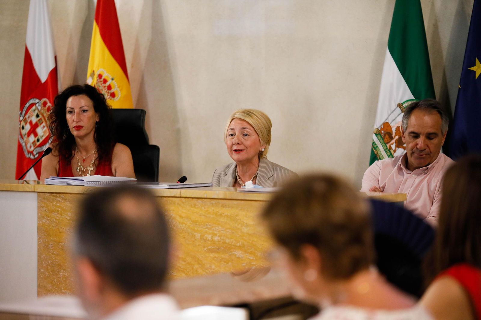 Eloísa Cabrera, concejal de Urbanismo, en el Pleno del Ayuntamiento.