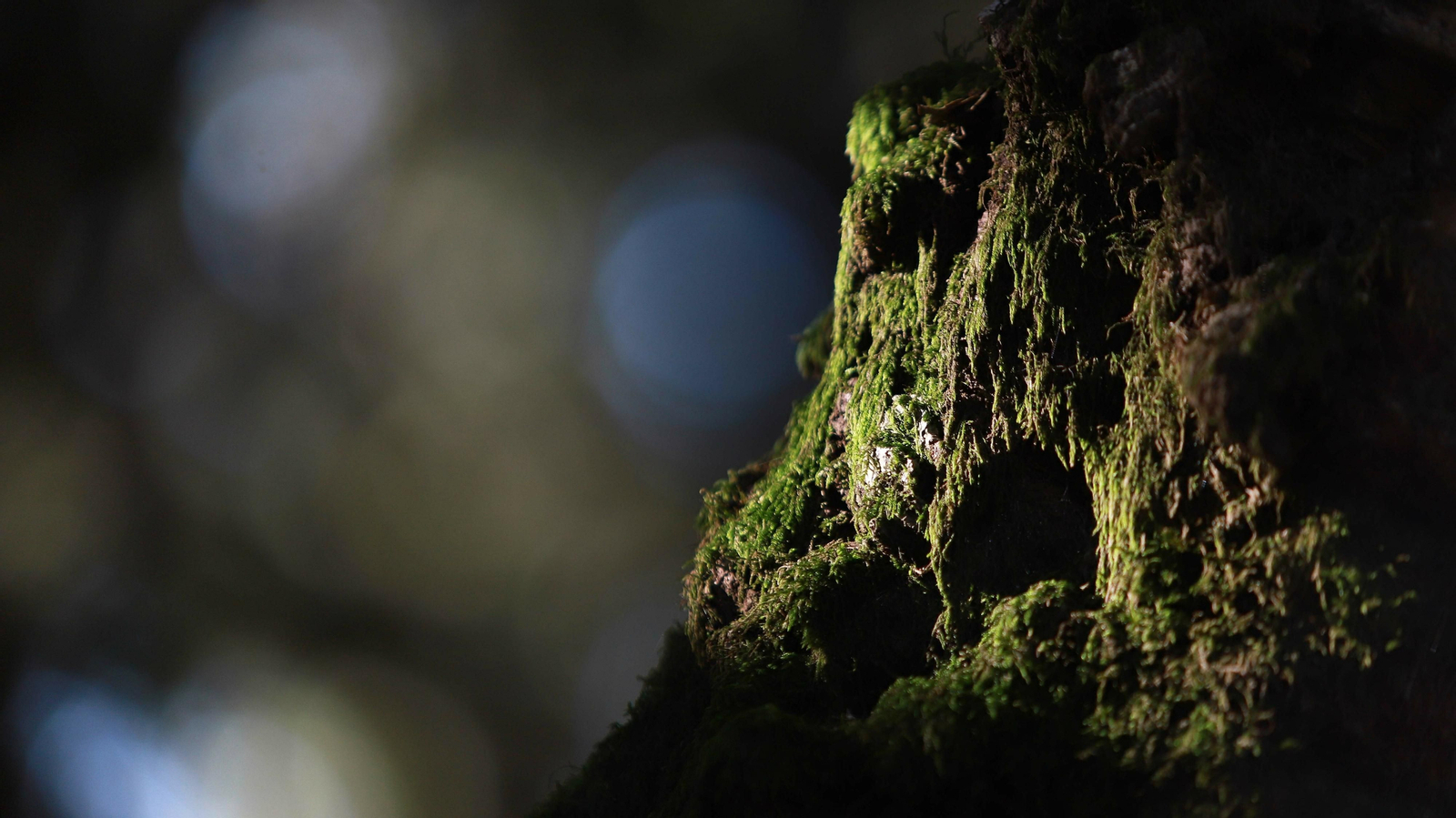 Las mejores fotos del Tajo de las Escobas