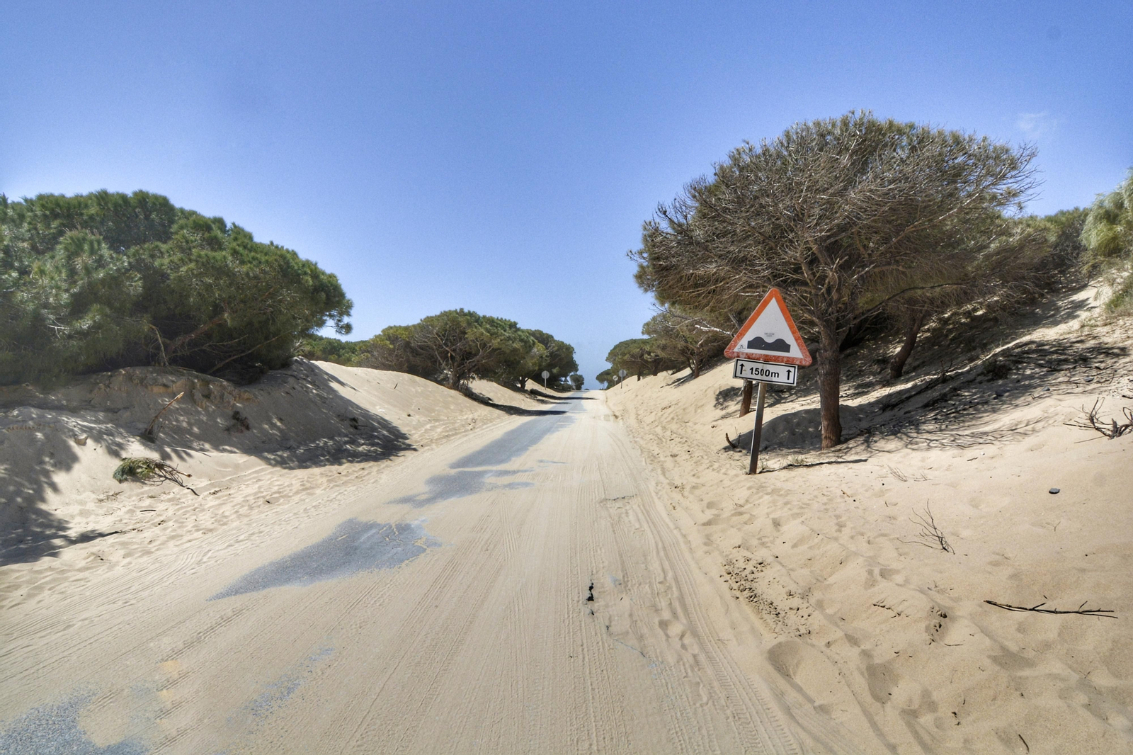 El avance de la duna de Valdevaqueros en Tarifa