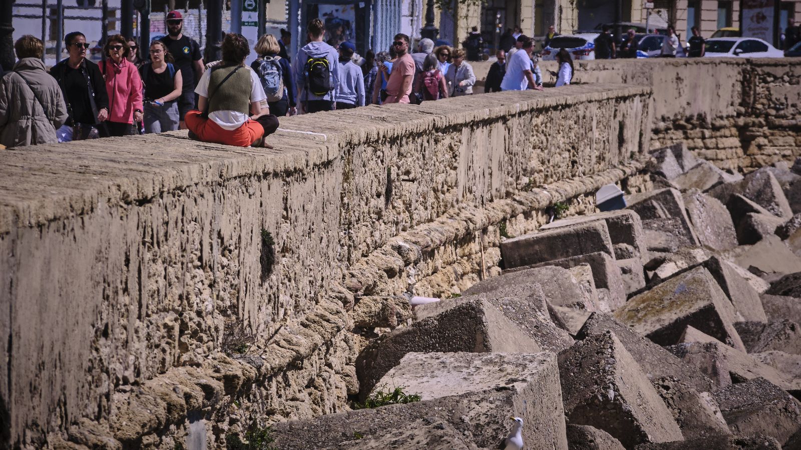 Lienzo de muralla del Campo del Sur