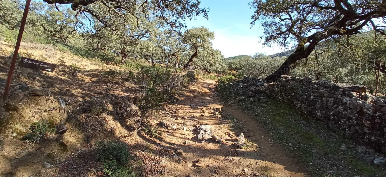 Fotos de la Ruta circular Aracena-Linares de la Sierra-Aracena