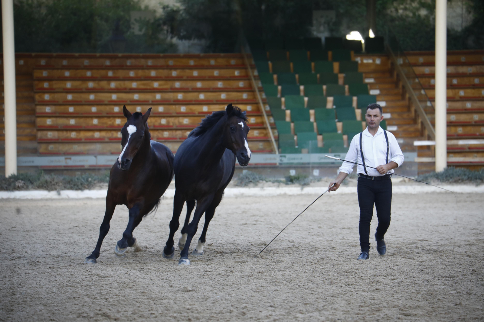 El arranque del XXVII Concurso Morfológico de La Feria del Caballo de Córdoba, en imágenes