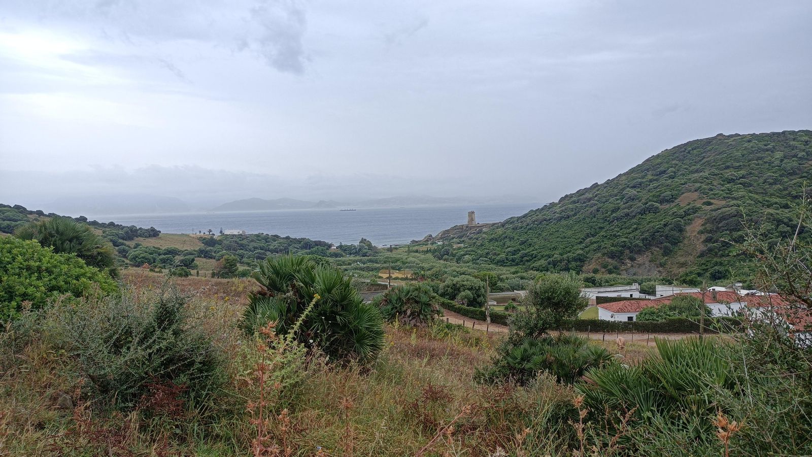 Aproximación a Guadalmesí.