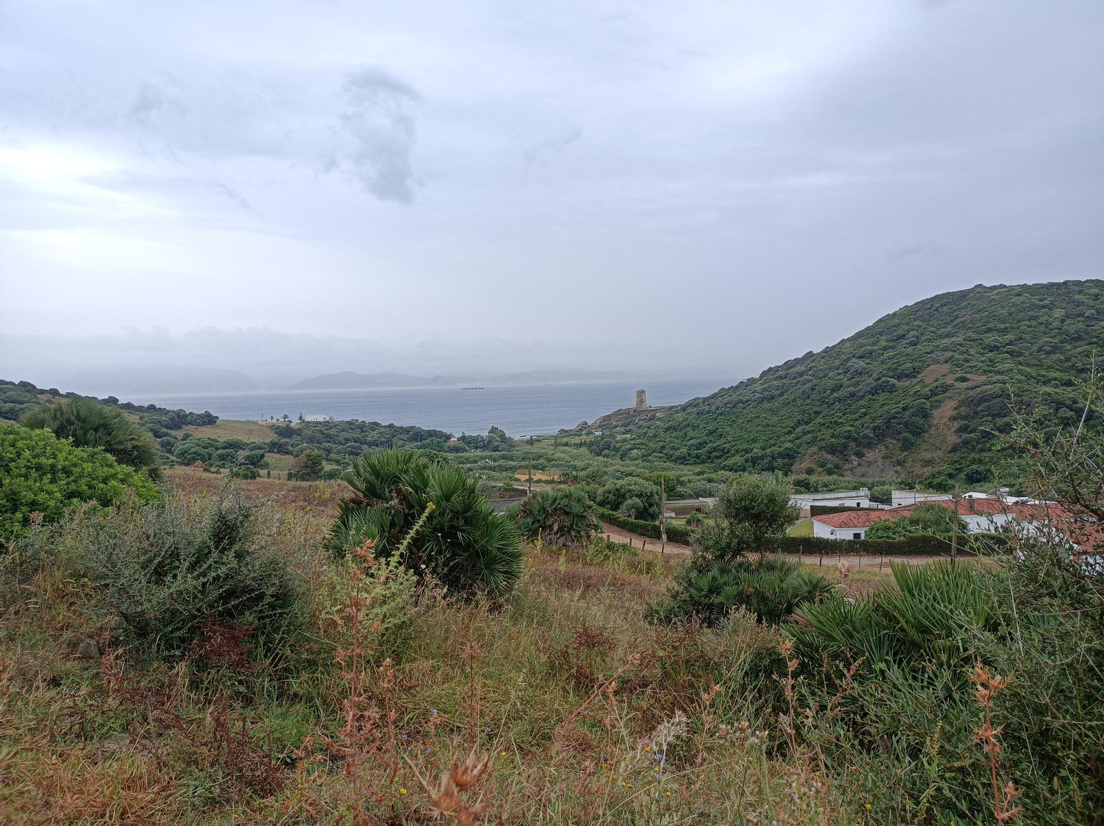 Aproximación a Guadalmesí.