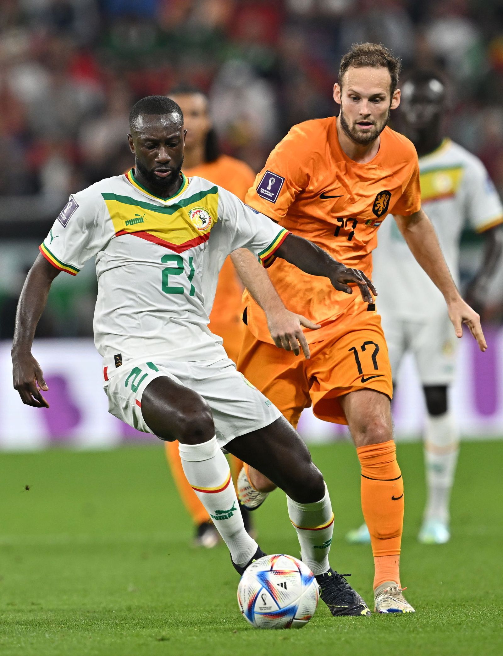 Las imágenes del Senegal - Países Bajos