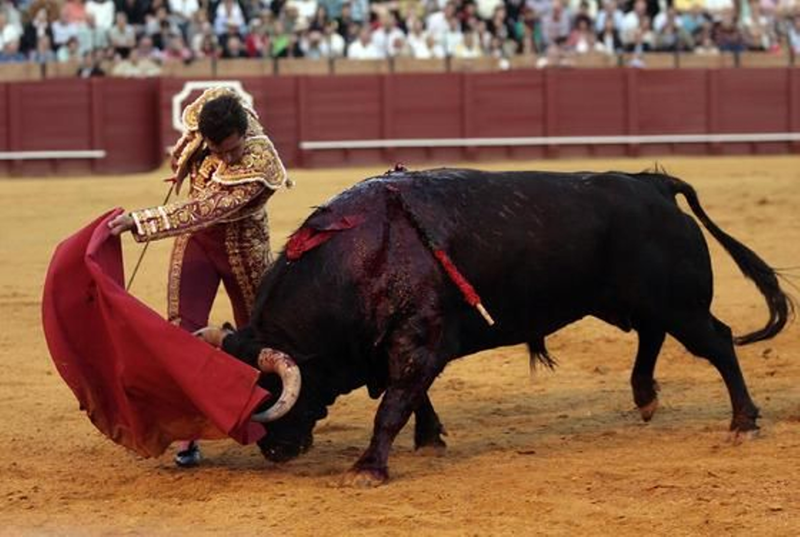 Foto: Juan Carlos Muñoz