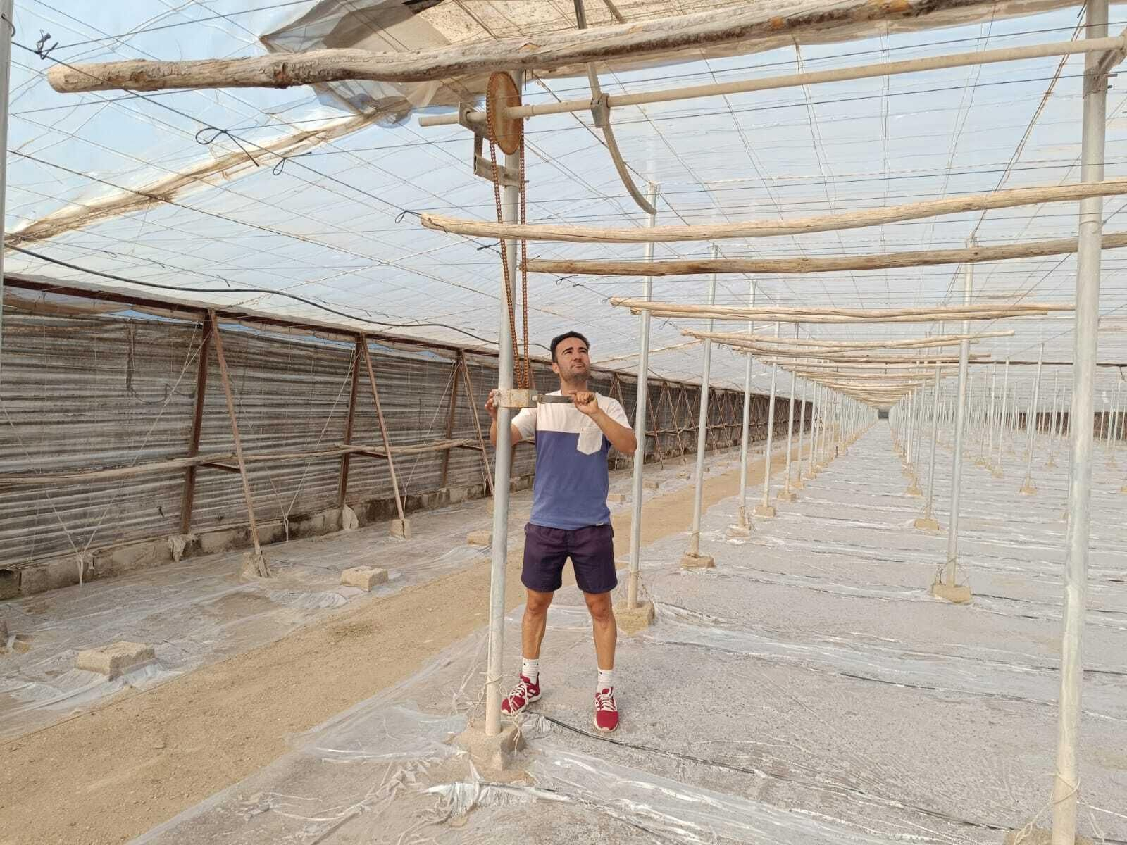 n Linares cambia los plásticos de su invernadero hace unas semanas, una vez concluida la temporada.