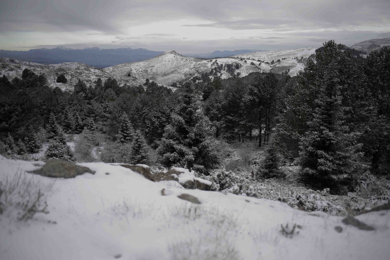 La excursiones a los parajes nevados de Málaga, en imágenes