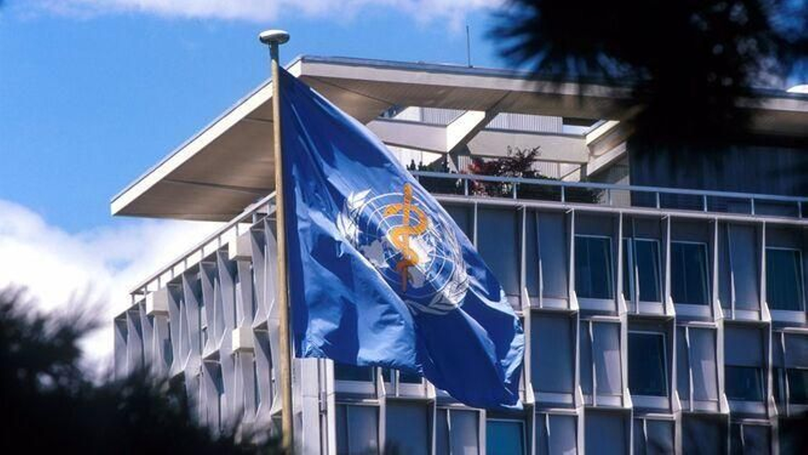 Sede de la OMS, que eleva a 131 los casos de viruela del mono.