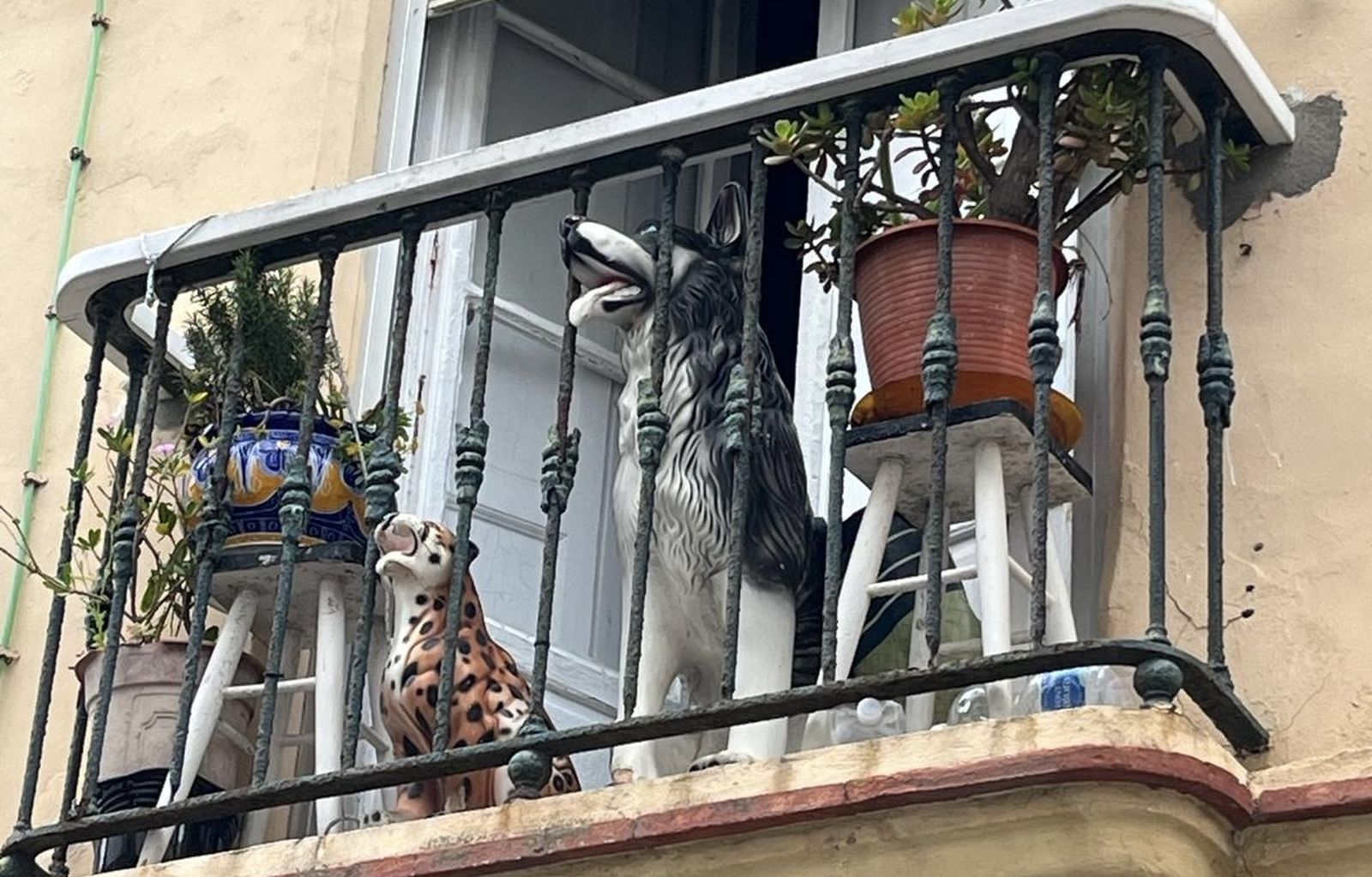 Balcones gaditanos I