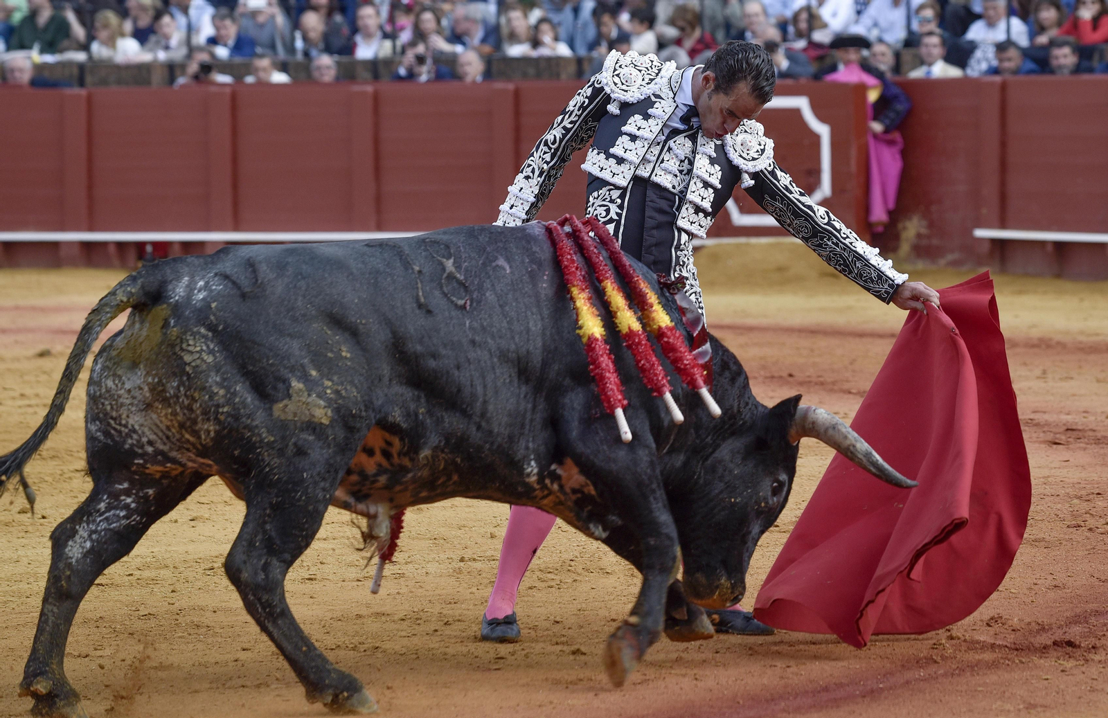 Las imágenes de la 14ª de abono de la Maestranza