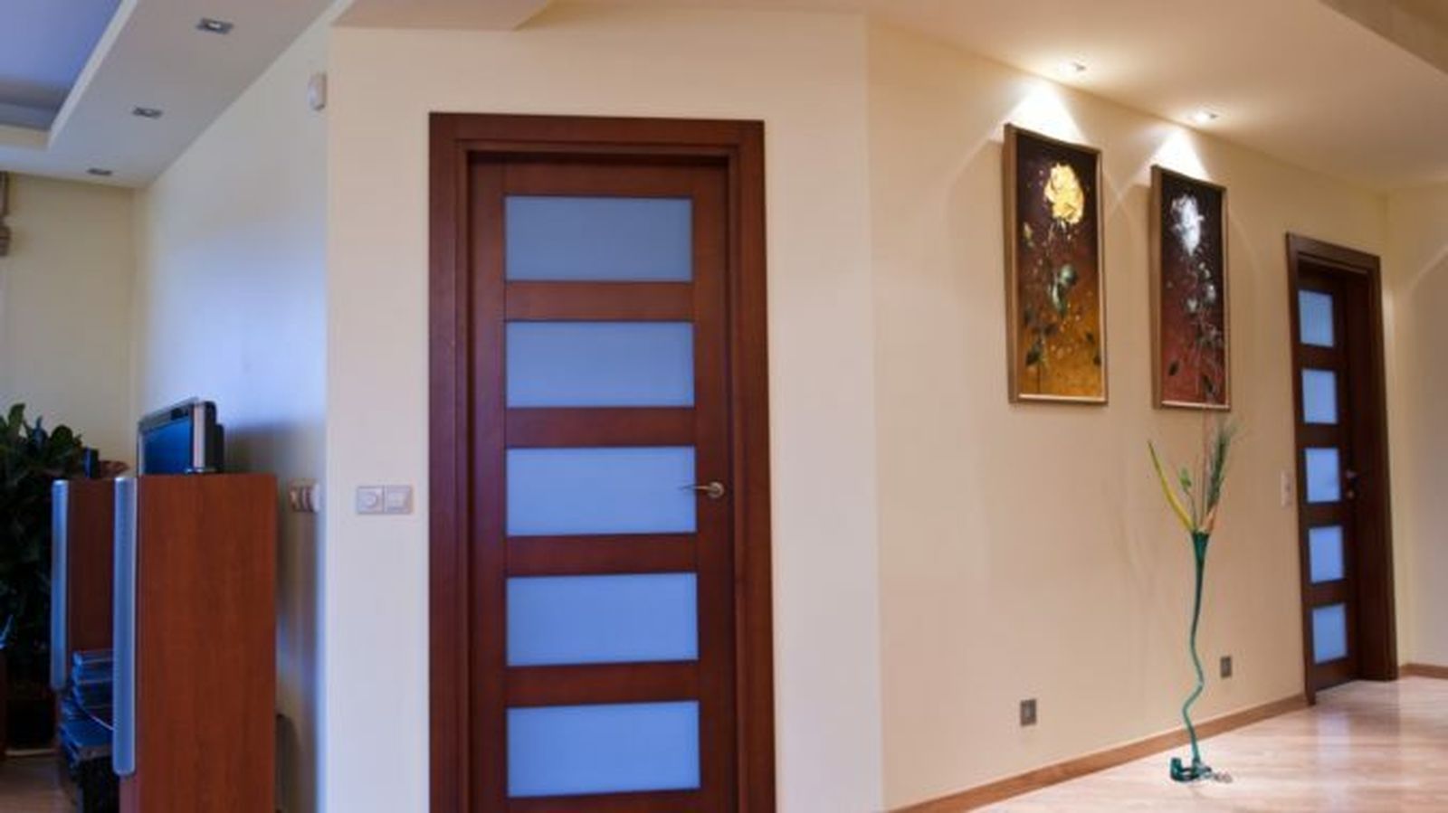 Entrevista Fermín Aparicio