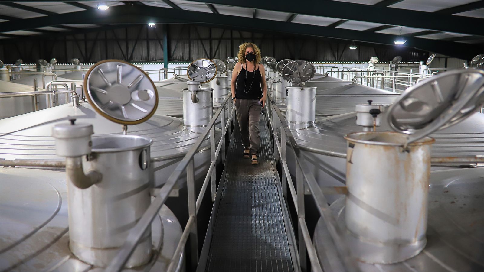 Imágenes de la vendimia de Bodega Estévez