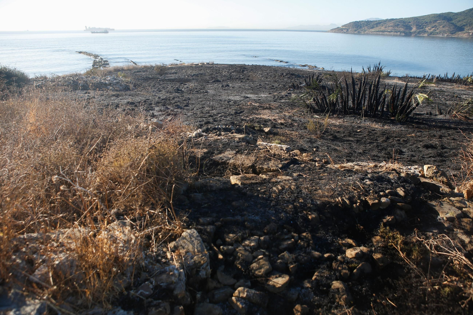 Daños en el Parque Centenario de Algeciras tras el incendio nocturno, en imágenes