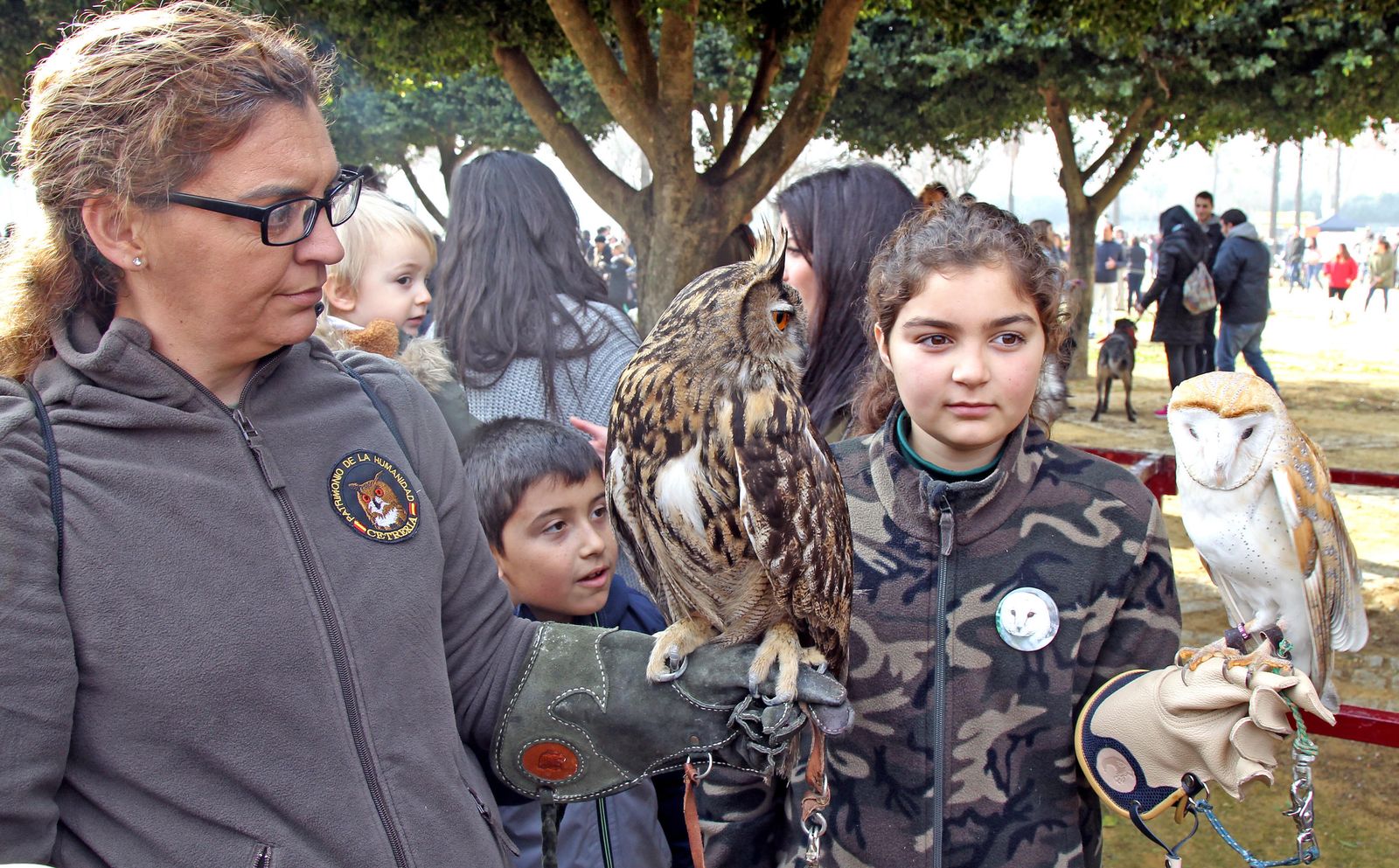 Las imágenes de San Antón
