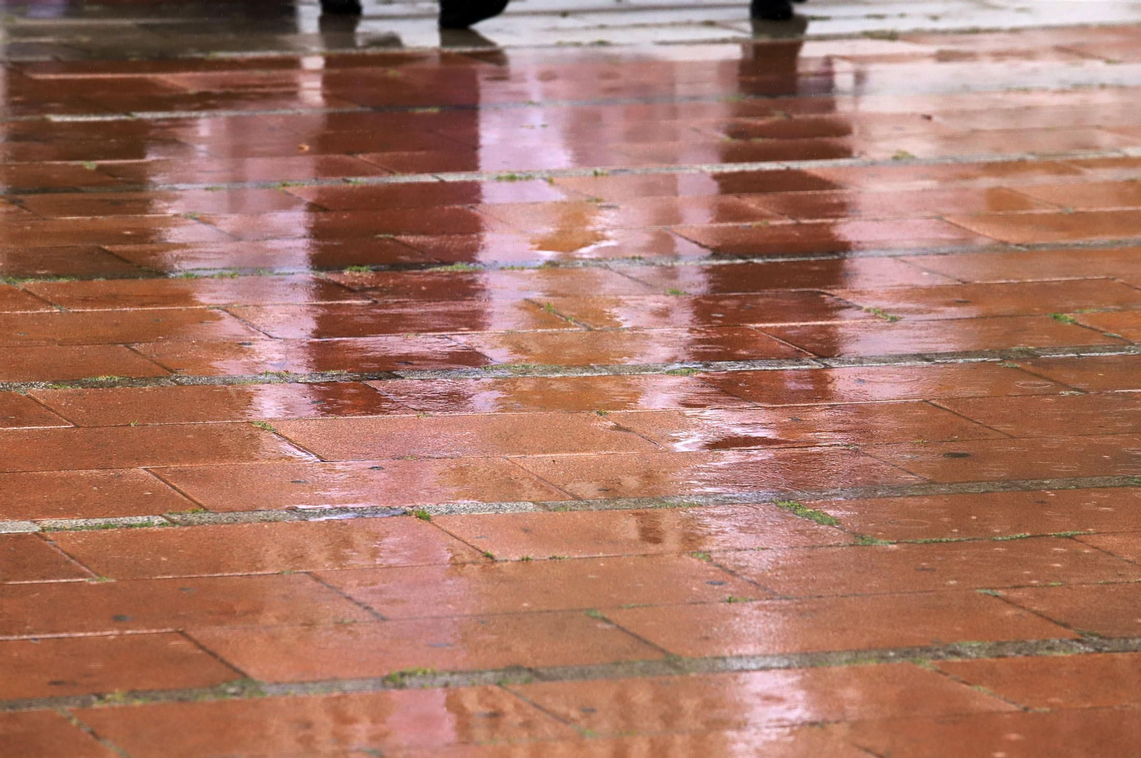 Imágenes de la procesión del Cautivo  bajo la lluvia en Huelva