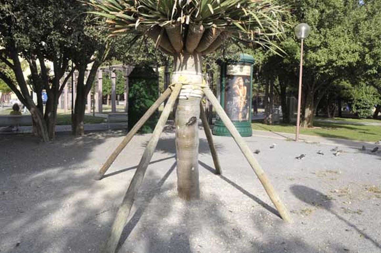 El nuevo drago de la plaza de Asdrúbal sufre daños por actos vandálicos