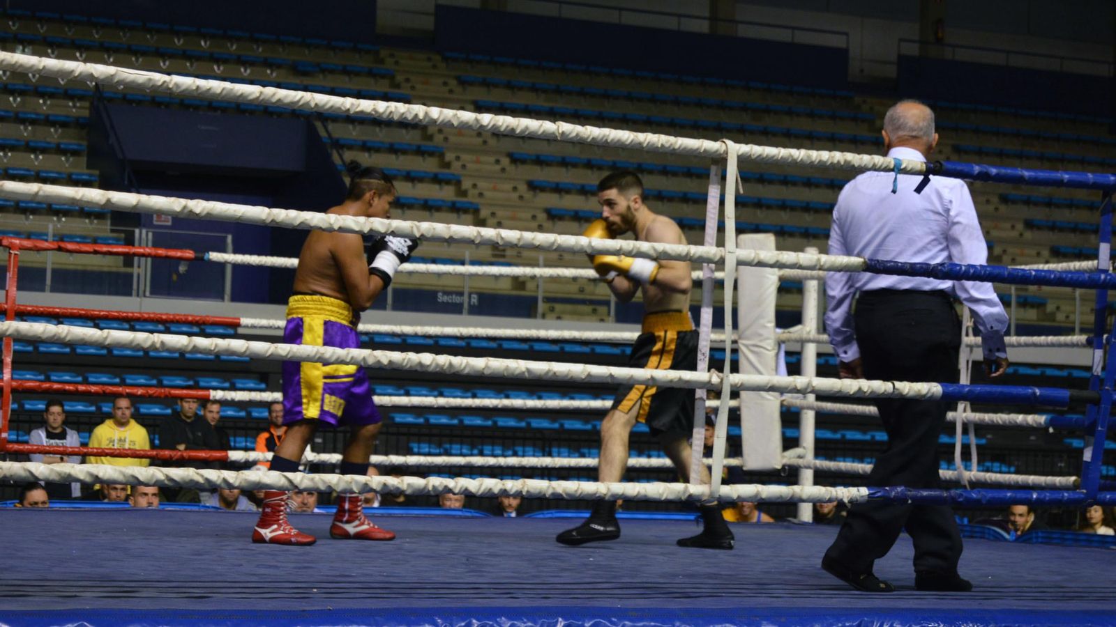 Combate de José Sánchez.
