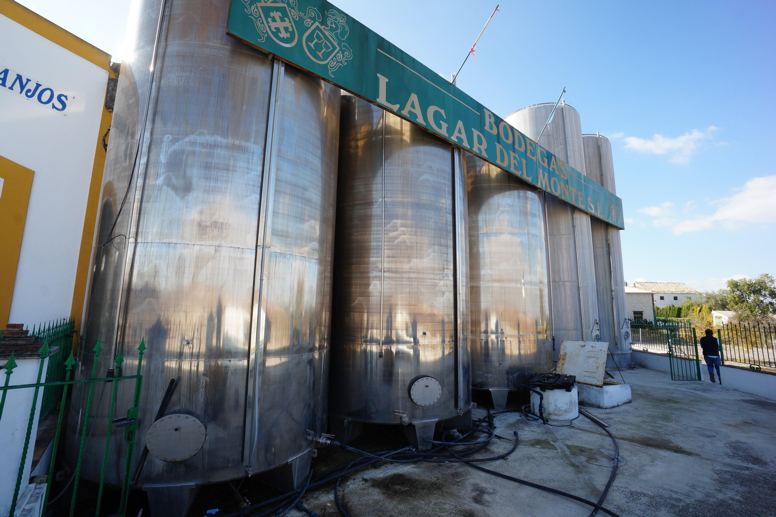 Un recorrido en fotografías por el vino nuevo de Moriles