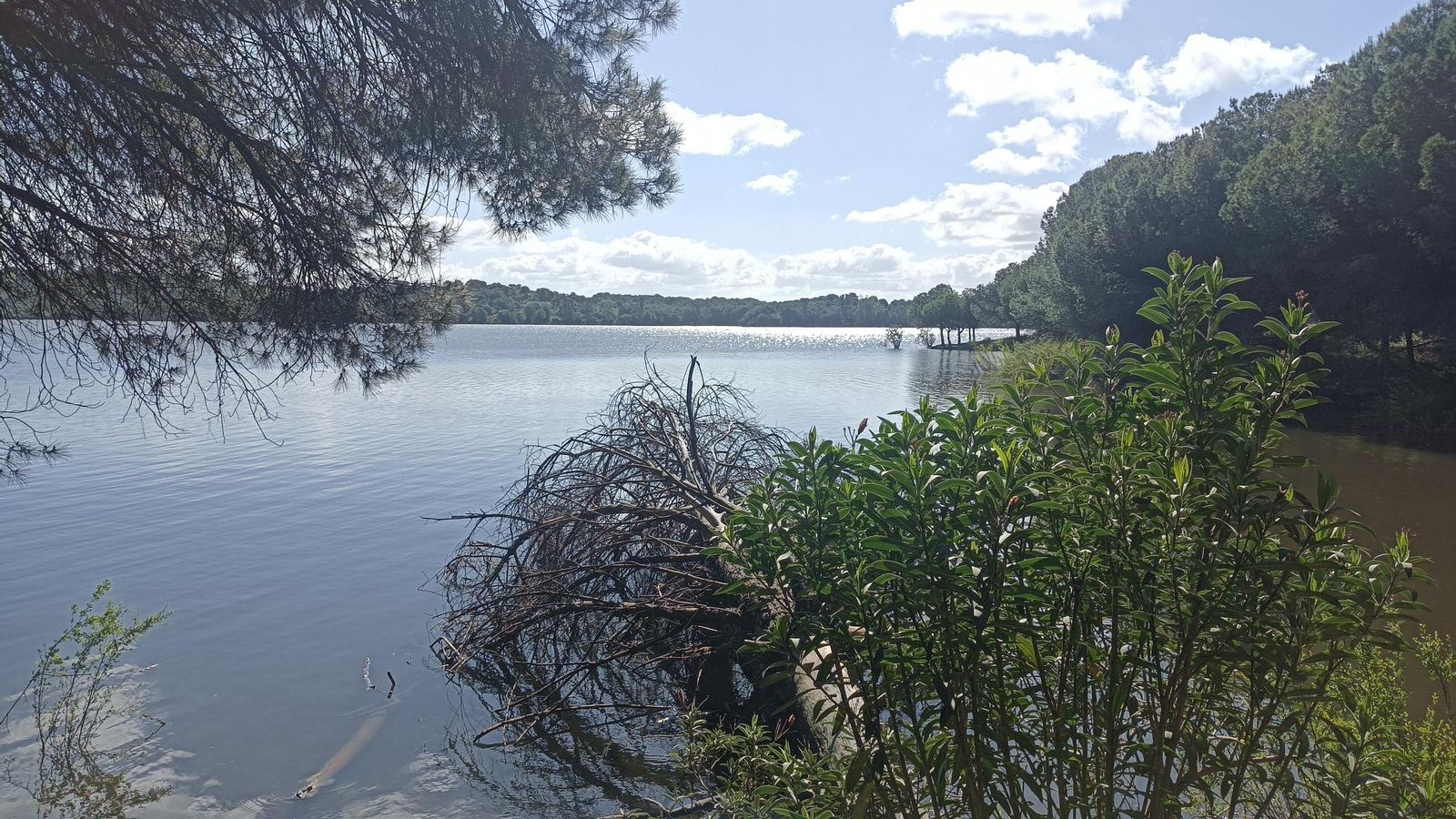 Desde la orilla podremos avistar aves.