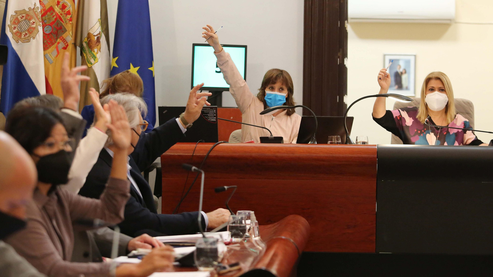 La delegada de Economía, durante el pleno celebrado este jueves.