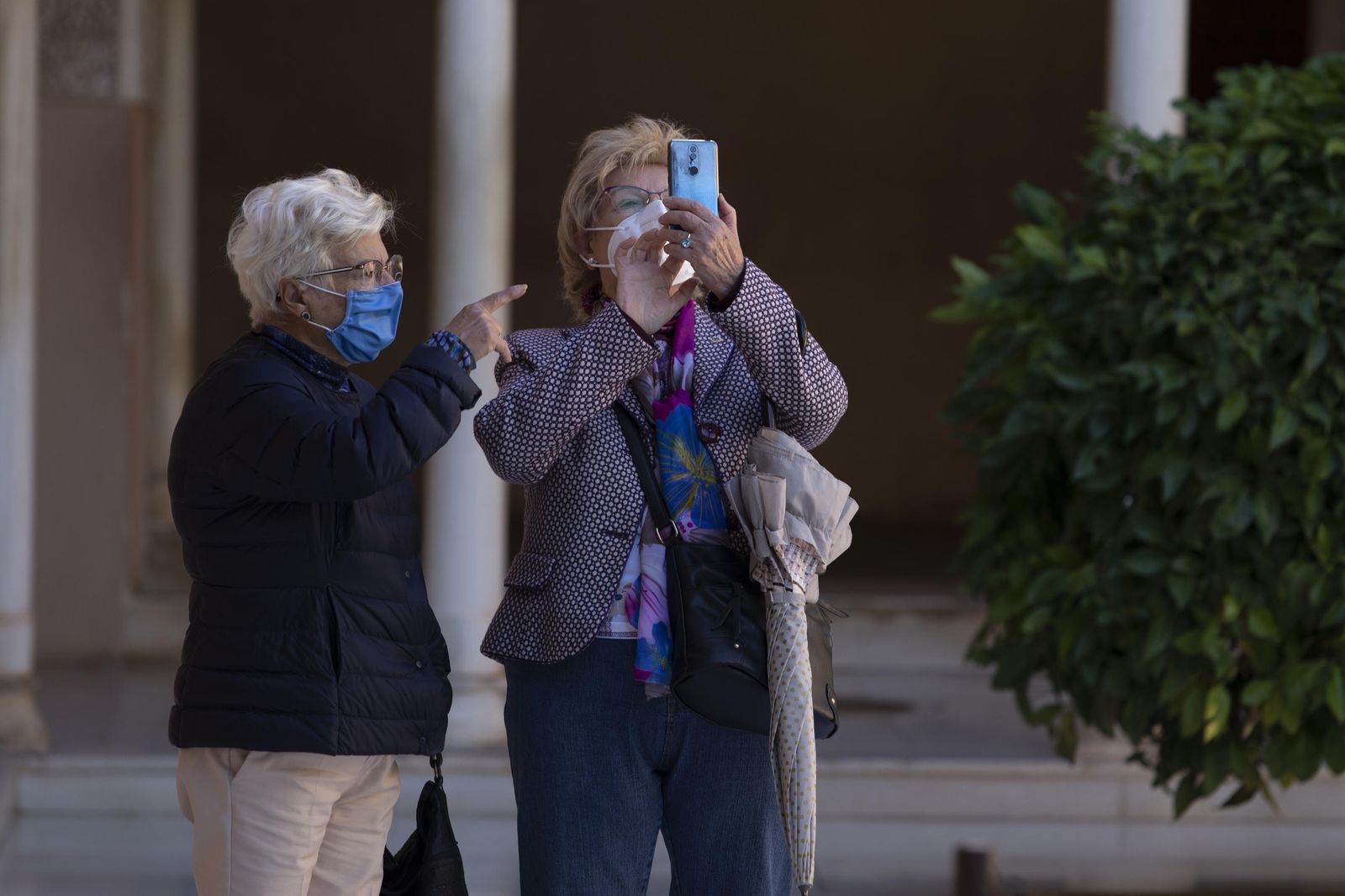 Fotos de la Alhambra para los granadinos e el puente
