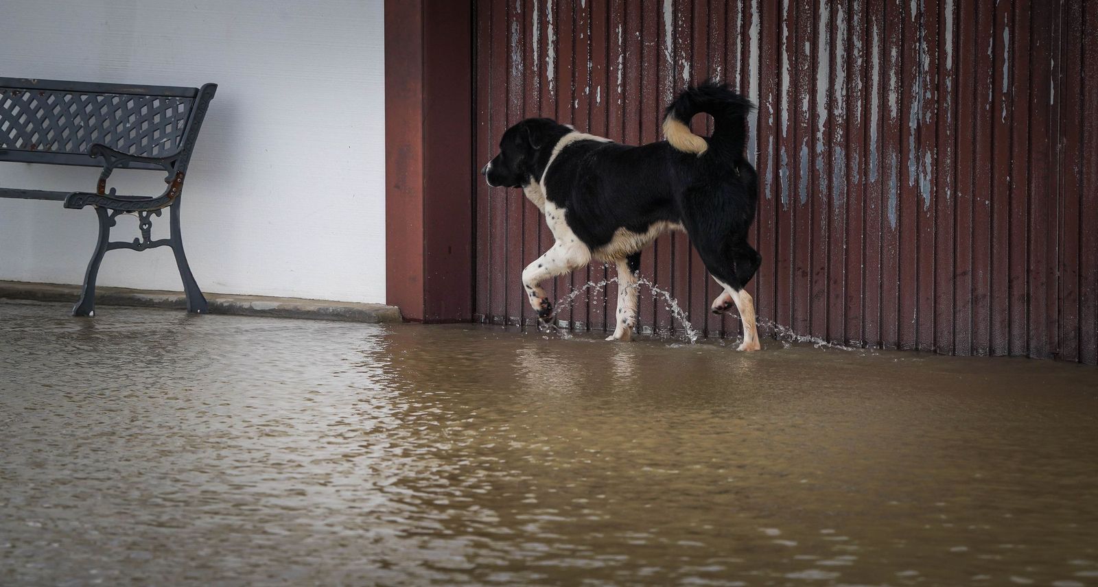 Intensa jornada en las zonas inundadas de Jerez, en imágenes