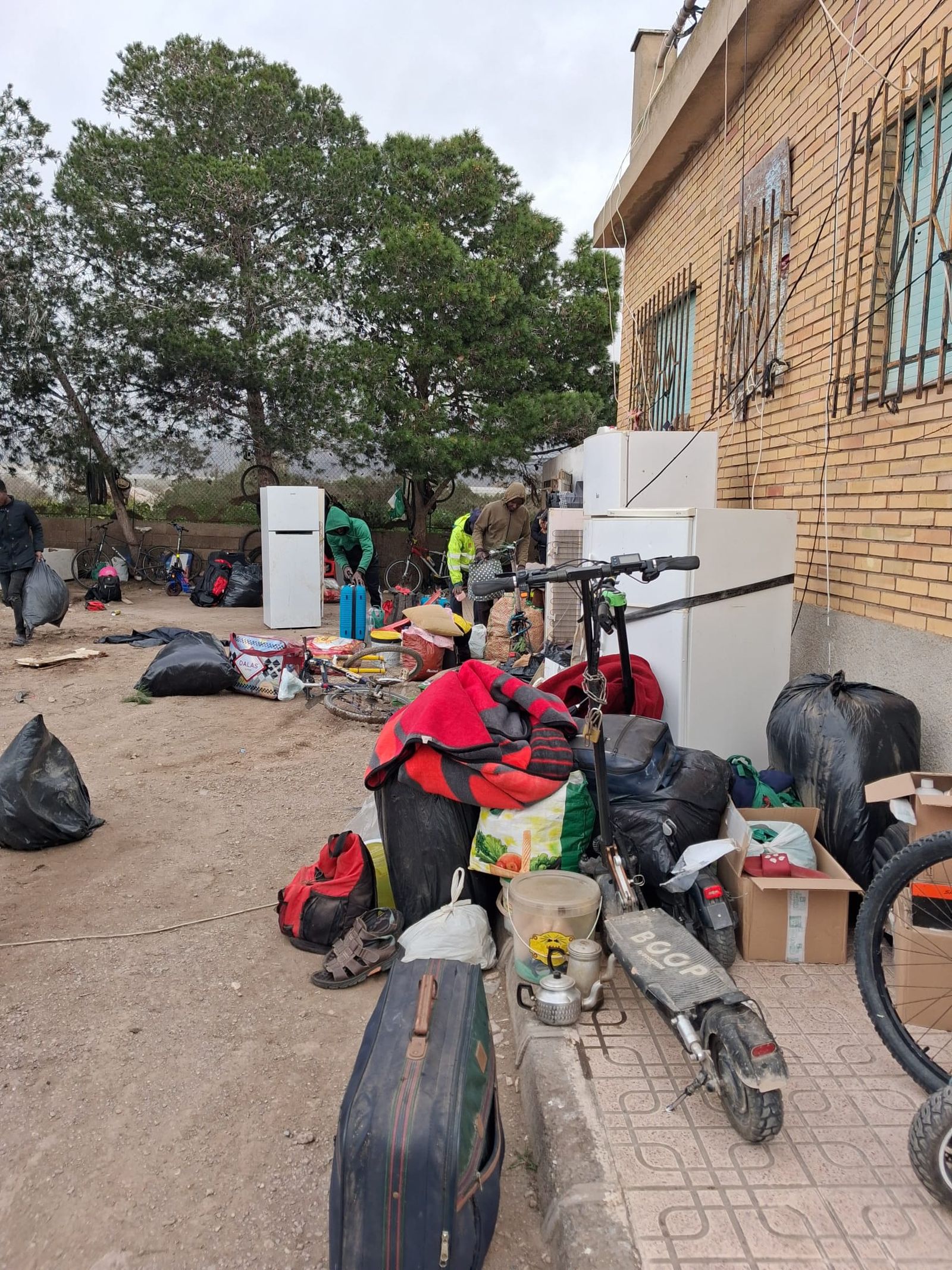 WhatsApp Image 2026-02-13 at 09.12.57