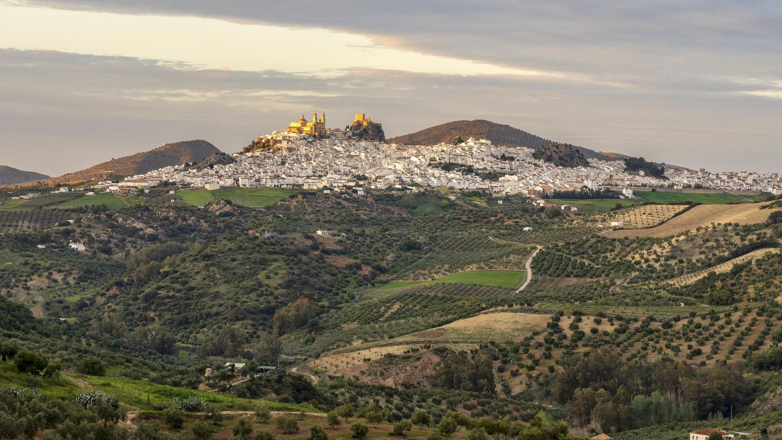 Vista panorámica de Olvera
