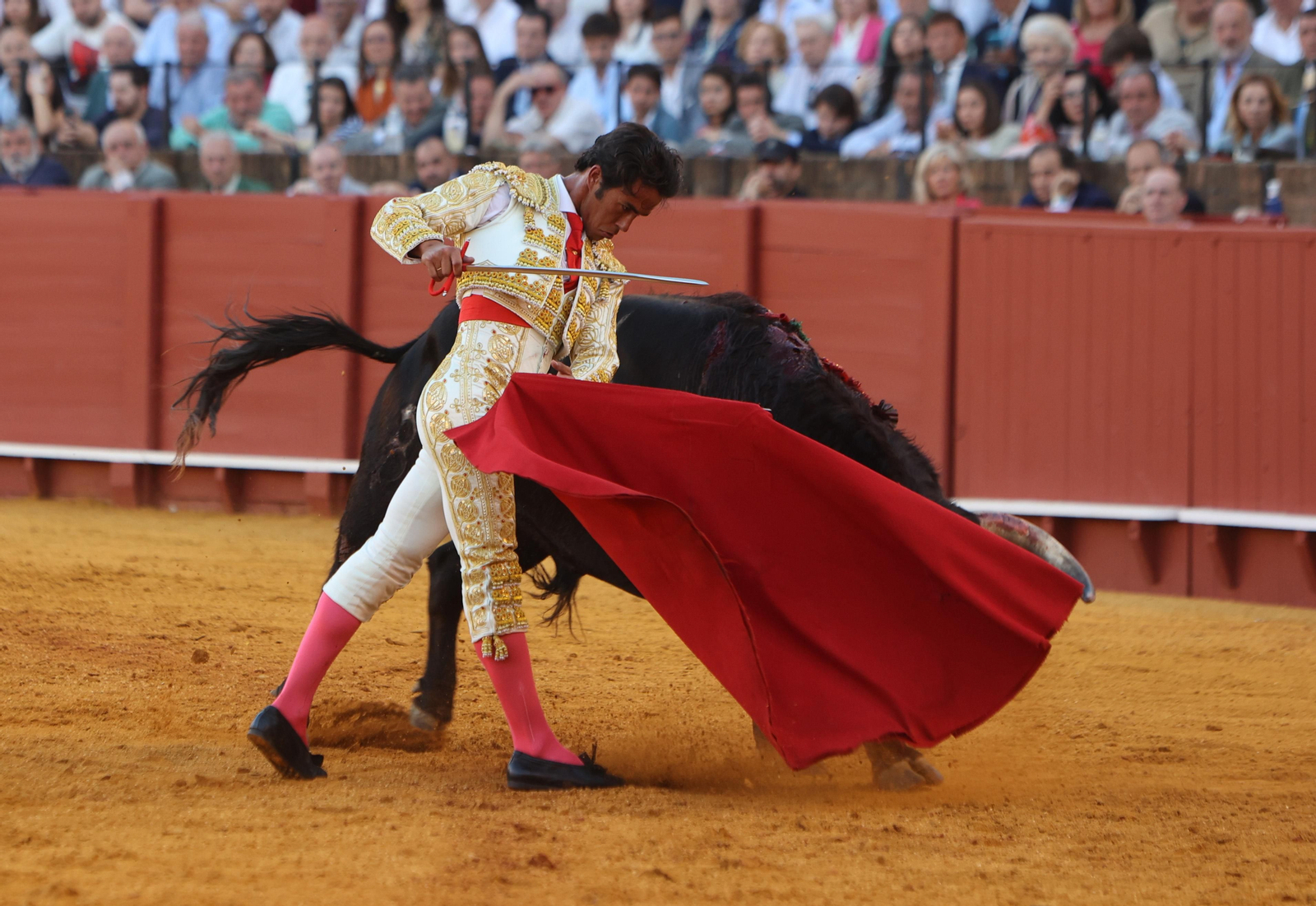 Las mejores imágenes de la corrida de hoy