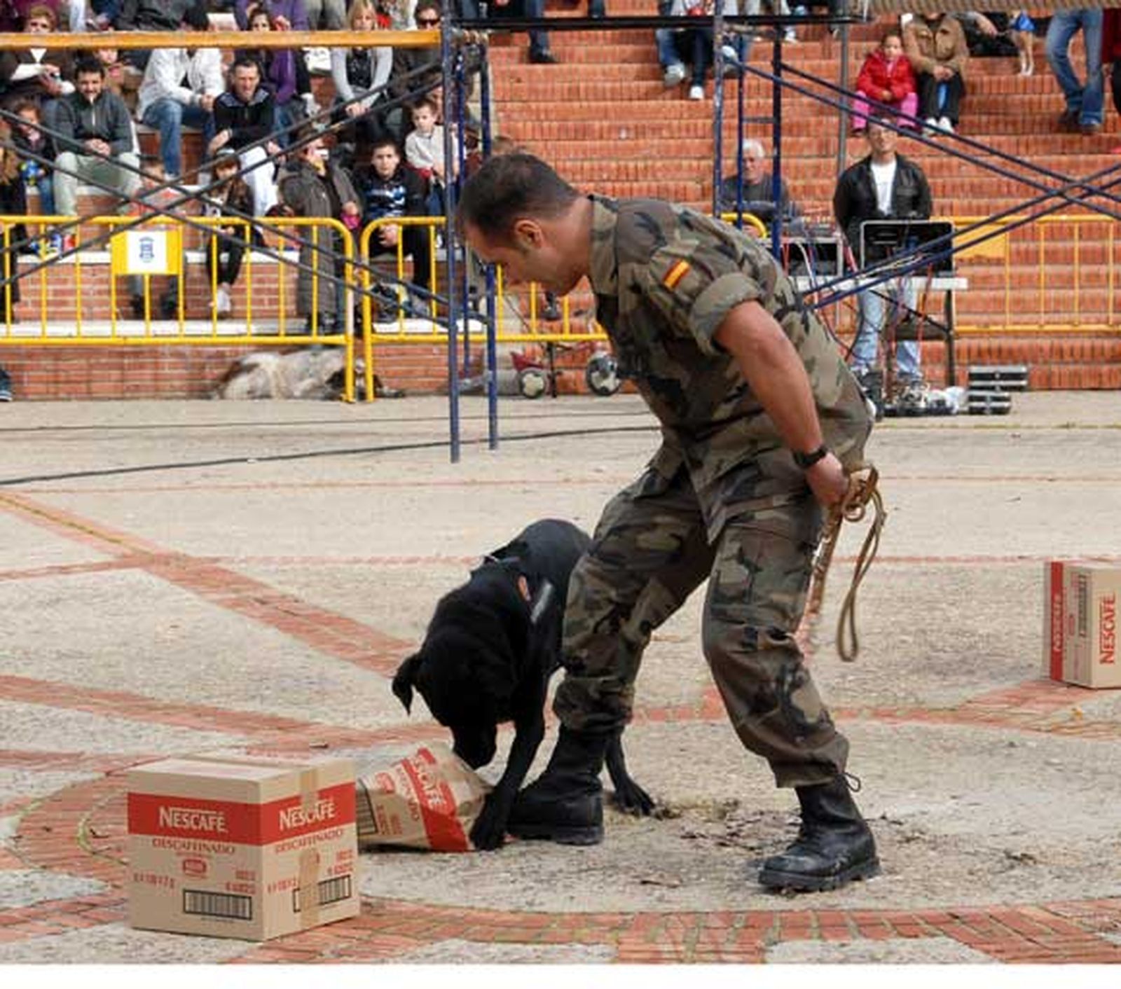 Celebración del día de San Antón en San Fernando, con concurso de mascotas y exhibición de perros policía y antidrogas de las unidades caninas de la armada y Policía Local

Foto: Rioja