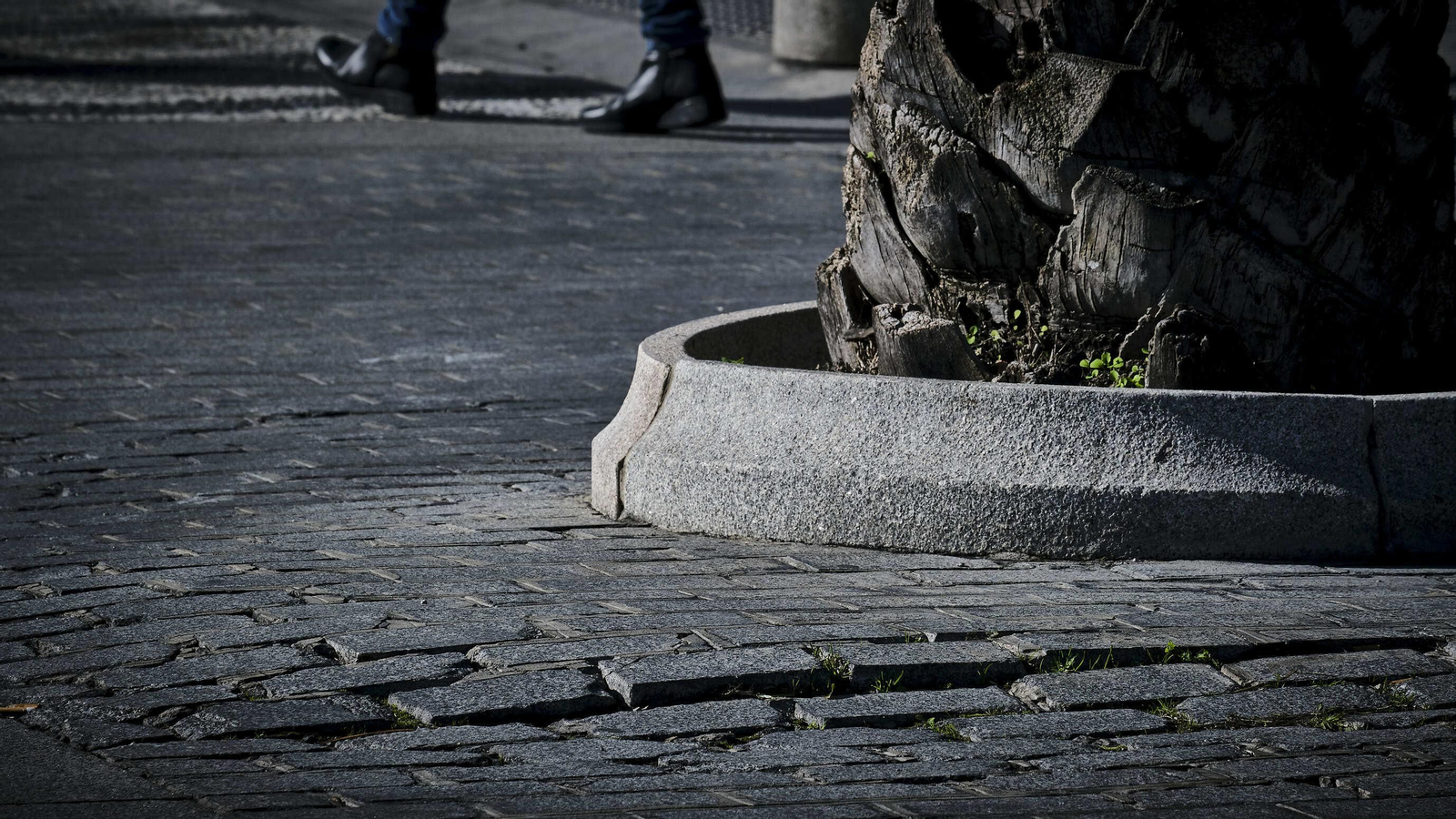 Pavimento en plaza San Juan de Dios