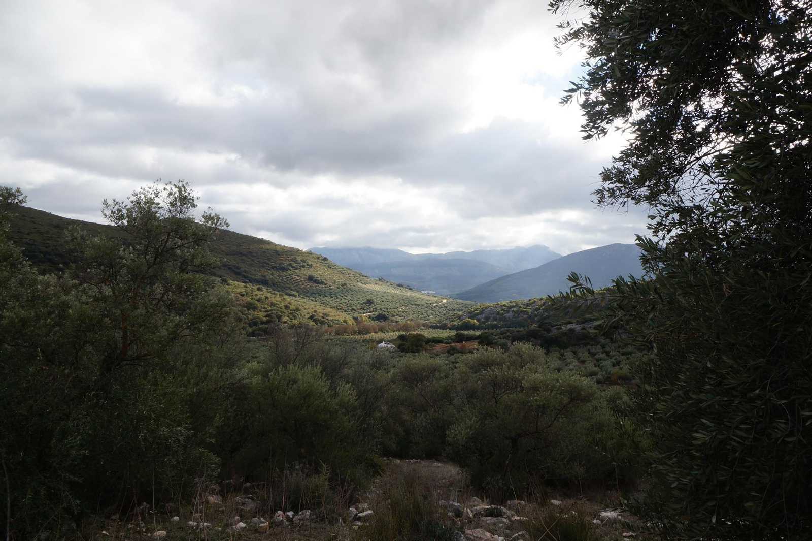 Panorama del Parque Natural de las Sierras Subbéticas.